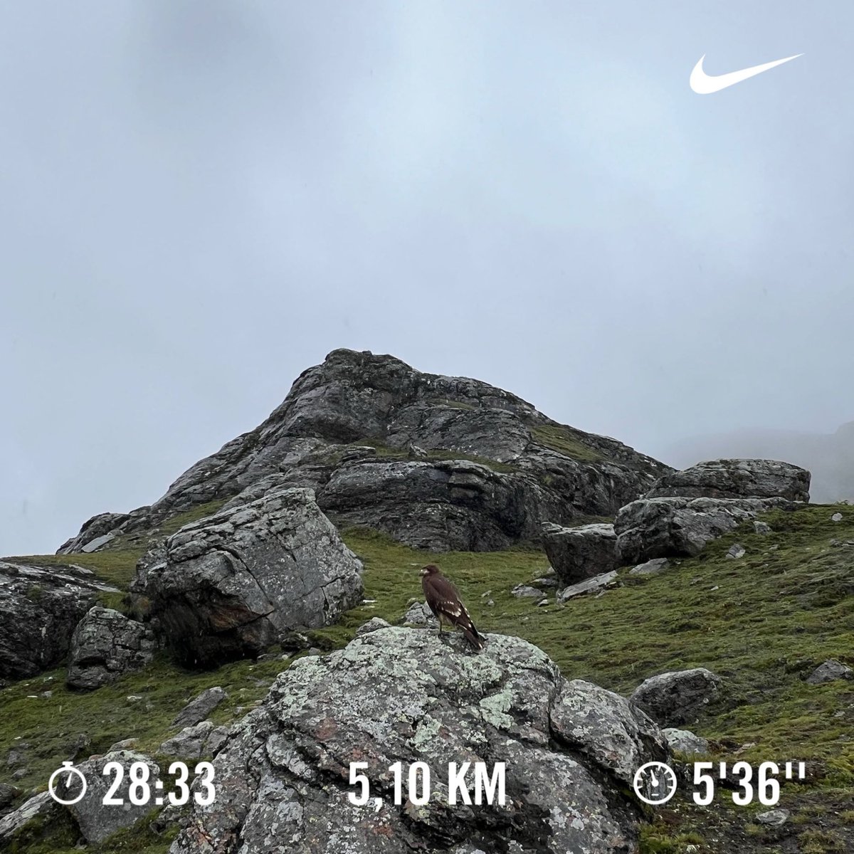 RClaure_nefro's tweet image. #JustDoItSunday 🏃🏻‍♂️ #Run4Kidneys 🫘 #850Challenge 🎗️