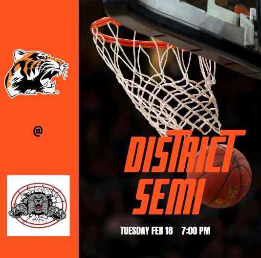 GoLadyTigers tweet media