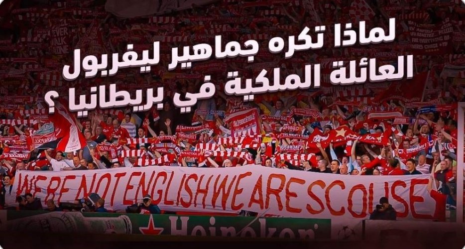 ℜ𝔬𝔟𝔬🐦‍🔥 tweet media