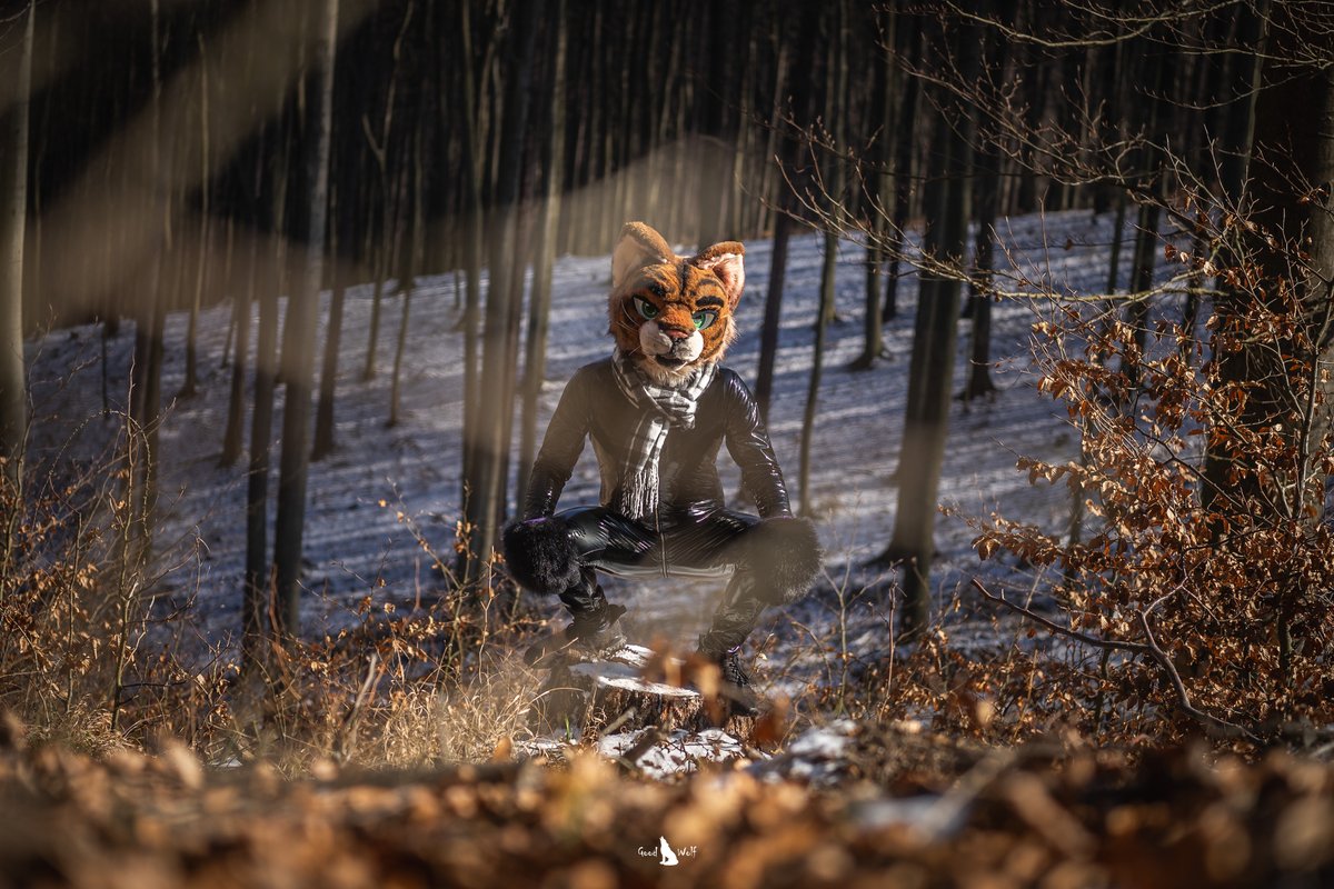 Someone is always watching 👀

✂️ R5 suits
📷 <a href="/GoodWolfSK/">GoodWolf</a> &amp; Atrox

#SqueakyEveryday #FursuitEveryday