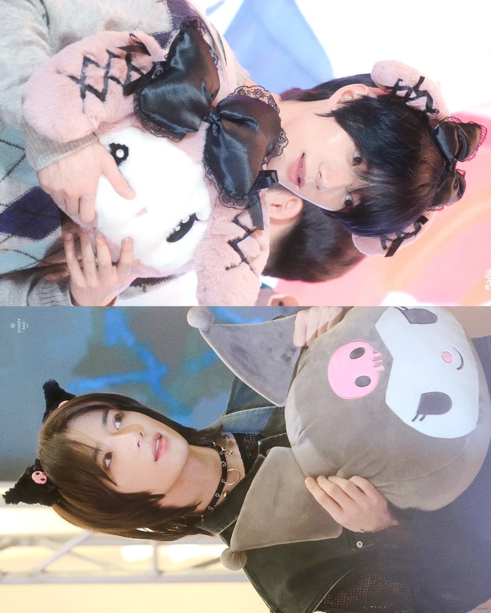 my melogyu &amp; gyuromi ⋆. 𐙚 ˚