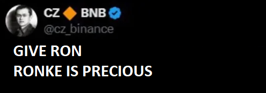 RONKEVERSE tweet media