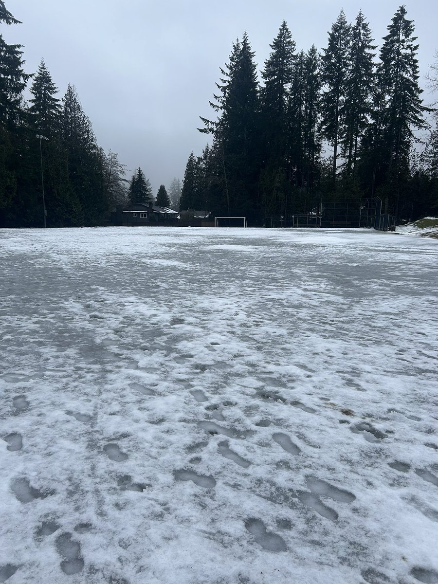 DNV Fields tweet media