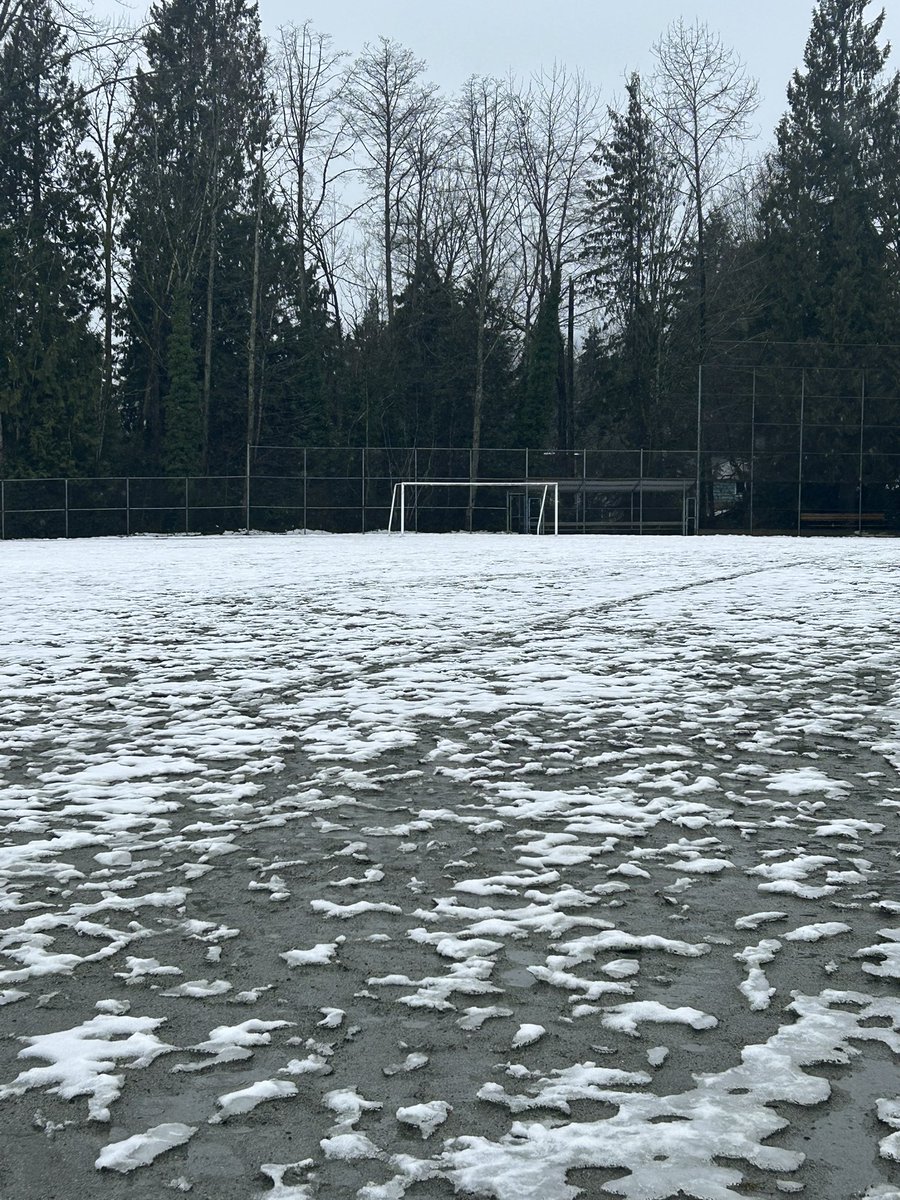 DNV Fields tweet media