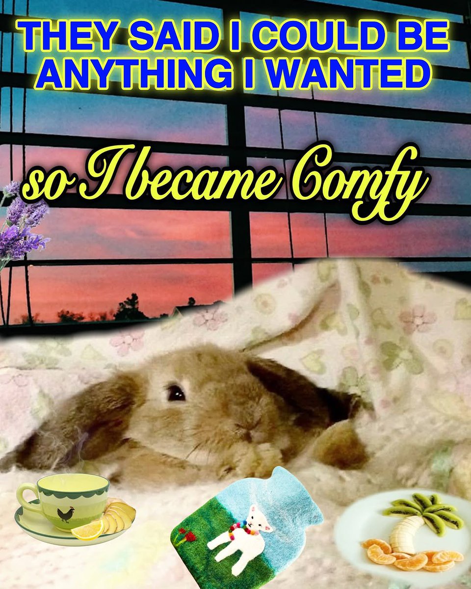 Bunnies (@bunnies) on Twitter photo 
