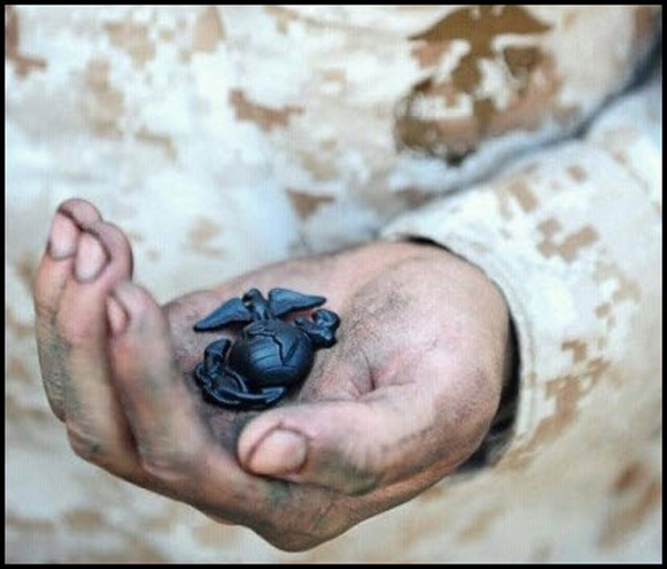 thesucklife's tweet image. If you’ve earned the title and I’m not following you, set me straight. #SemperFi