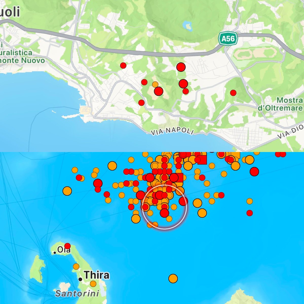 Lisa Singleton tweet media