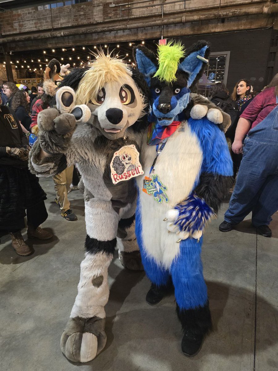 Maximus (@maximuswolfhea1) on Twitter photo <a href="/downbeatpoodle/">Downbeat the Poodle</a> Hopefully you'll remember this blue doggo. Hehe. It was cool talking to you last night. Hope you had loads of fun. I sure did. <a href="/downbeatpoodle/">Downbeat the Poodle</a> Hopefully you'll remember this blue doggo. Hehe. It was cool talking to you last night. Hope you had loads of fun. I sure did.