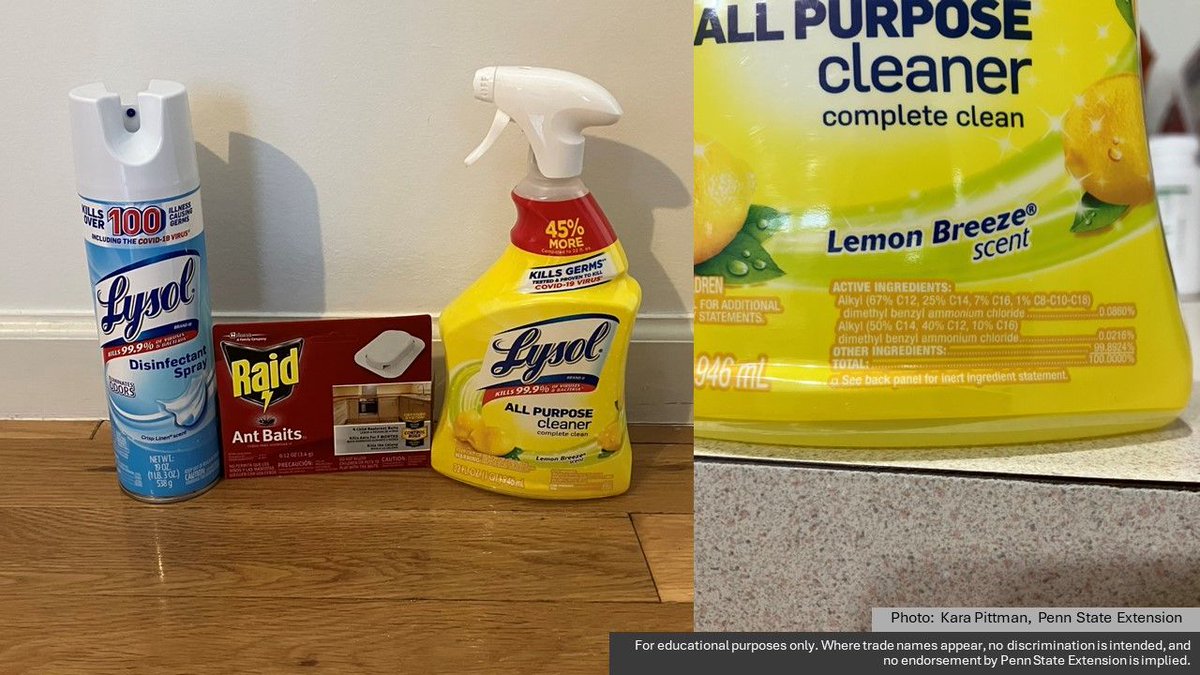Pesticides are any product intended to prevent, destroy, or repel a pest. Pesticides are more than just herbicides, insecticides, and fungicides. Pool chemicals, rodent or ant baits, and cleaning products that sanitize or disinfect are also considered pesticides.