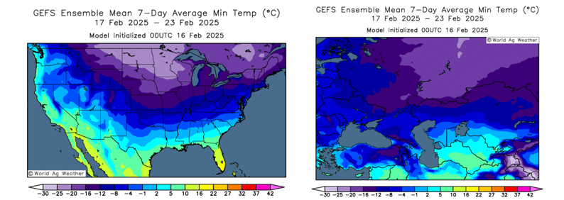 CloudBreak2's tweet image. After a cold spell at the end of Jan, #US winter #wheat in regions with little or no snow cover may face frigid temperatures again next week, increasing the risk of #winterkill. Similarly, #Russia's winter wheat-growing regions face a high risk of winter kill due to severe cold.