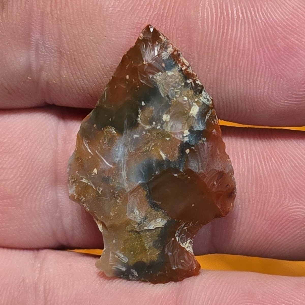 OhioHuntNFish tweet media