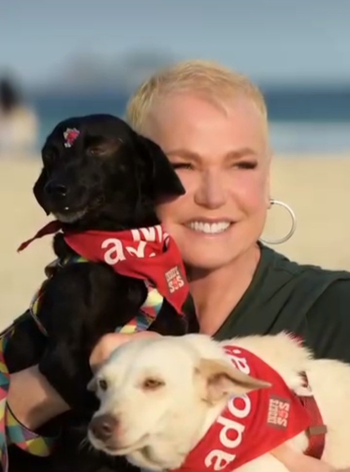rainhaxuxa86's tweet photo. Hoje tem Xuxa👑 #DeuPetch #Fantatisco https://t.co/ihzVKOFVt8