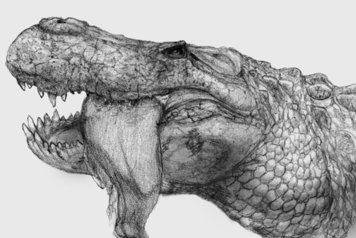 I drew Purussaurus. again.