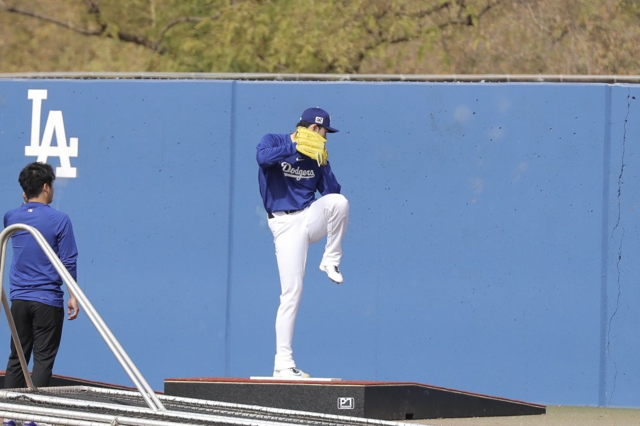 希少】 Driveline パルススロー デバイス 野球