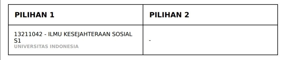 wsnuupy's tweet image. all in fisip ui🐯🧡
#fisipui