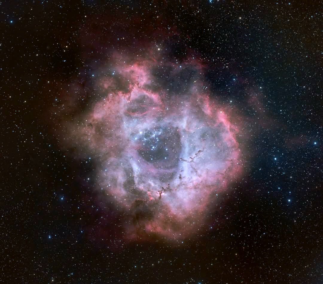 IMZLO-Zach tweet media