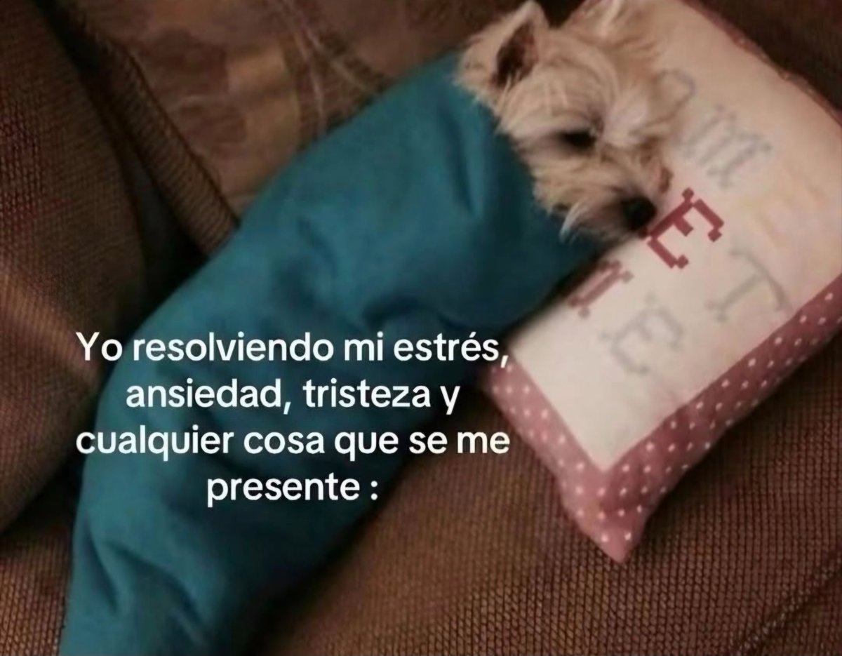 En Júpiter (@en_jupiter_) on Twitter photo 