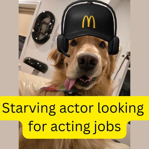 Mayoslastshot's tweet photo. $wagmiwood is run by a golden retriever and his mom (me). I created the coin to get my dog viral and noticed by Hollywood agents so he can live his dreams of being a famous actor. We also want to use profits to fund film maker projects. It’s a long term project with a strong community forming.

We’re fully doxxed, live streaming, posting content everyday and will comment on everyone’s post until we’re famous. 

CA: EmCCGHynozfZSkre99eQEkGWtvAYicaJVarxgTDVpump
