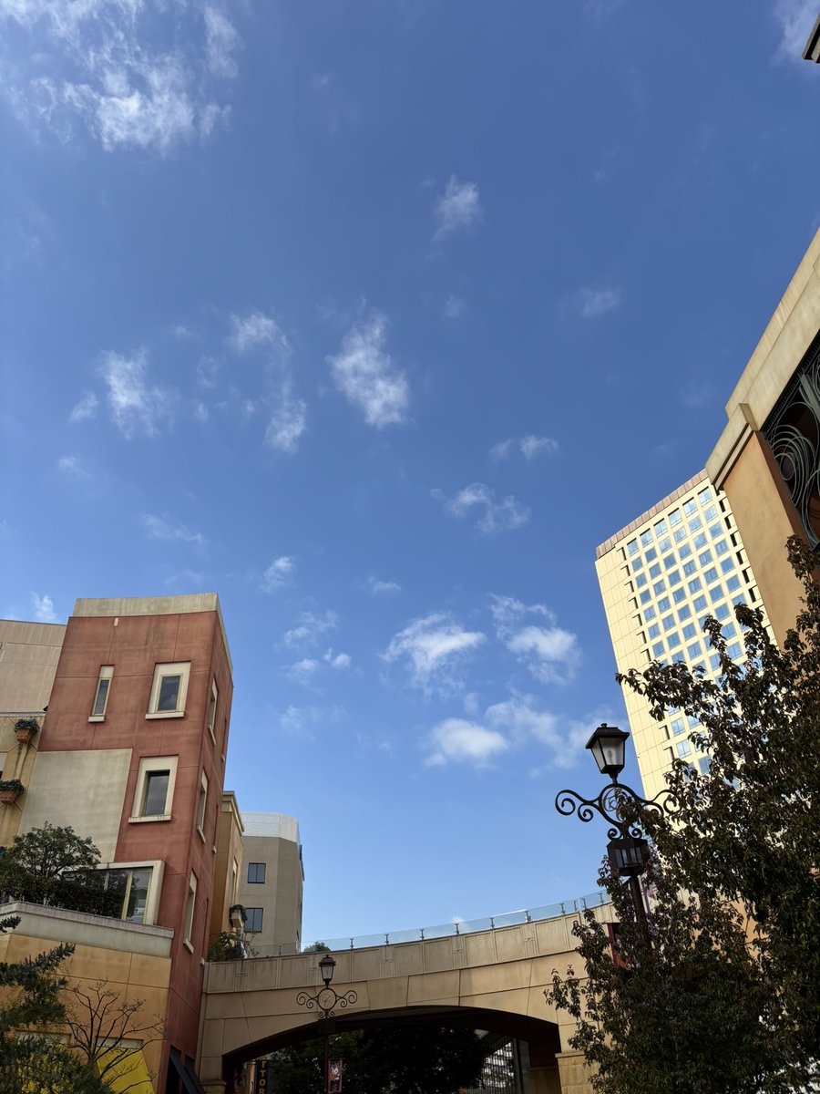 おはようございます😊

今日の川崎市の天気は、やや曇り🌥️

最高気温は14℃で、最近では暖かい一日になりそうです🌡️

今週も頑張っていきましょう🏃‍♀️‍➡️

#企業公式が毎朝地元の天気を言い合う
#企業公式相互フォロー
#企業公式冬のフォロー祭り
#就労移行 #就労継続支援B型 #川崎