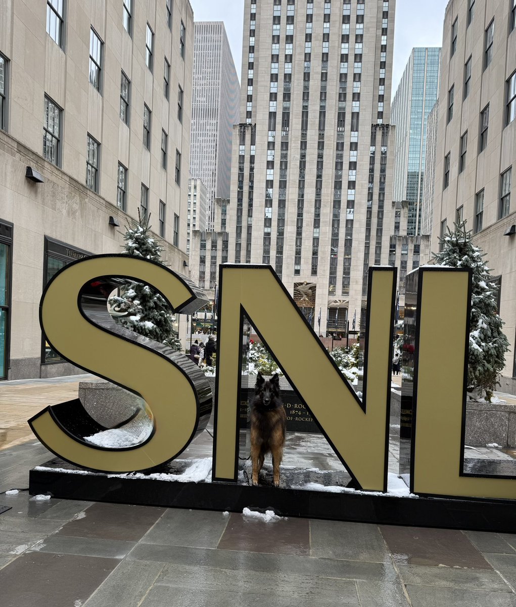 cokotervs's tweet photo. #SNL50 #westminsterbreedwinner #belgiantervurenbreedwinner
#nyc https://t.co/Ztj0u7izOK