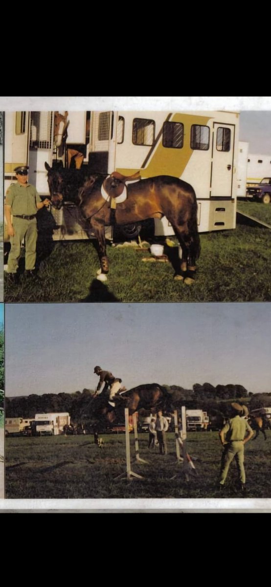 Liam de Lása tweet media