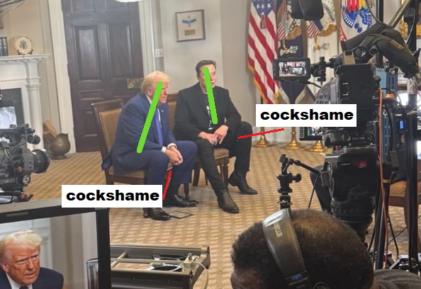 apophene tweet media