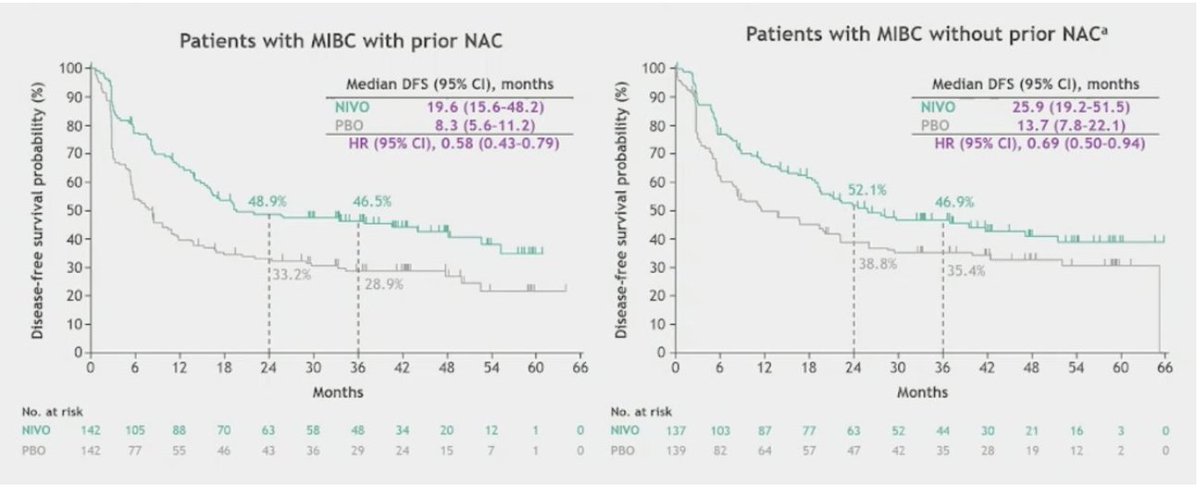 urotoday's tweet photo. Adjuvant nivolumab vs placebo for high-risk muscle-invasive #UrothelialCarcinoma: Additional efficacy outcomes including overall survival in patients with #MIBC from #CheckMate274. Presentation by @MattMilowsky @UNC_Lineberger. #GU25 written coverage by @zklaassen_md @GACancerCenter > https://t.co/L5CEsdLUmY