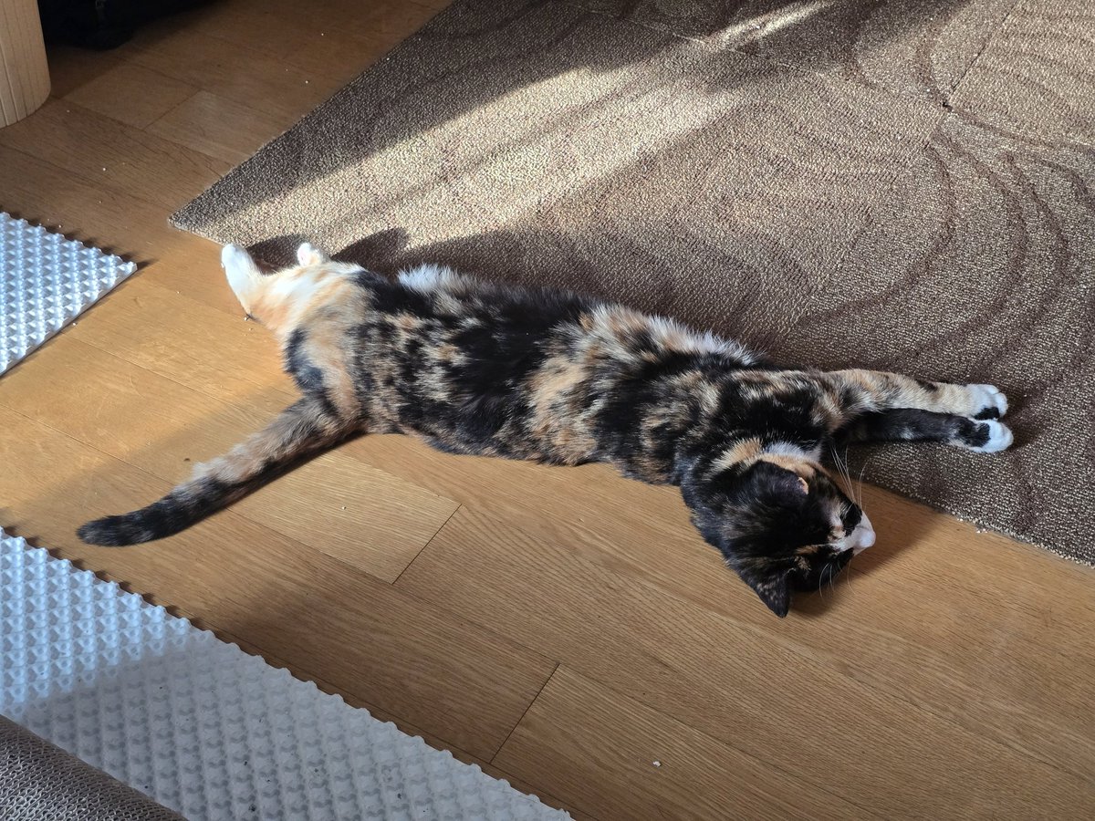 누가누가 더 기나~