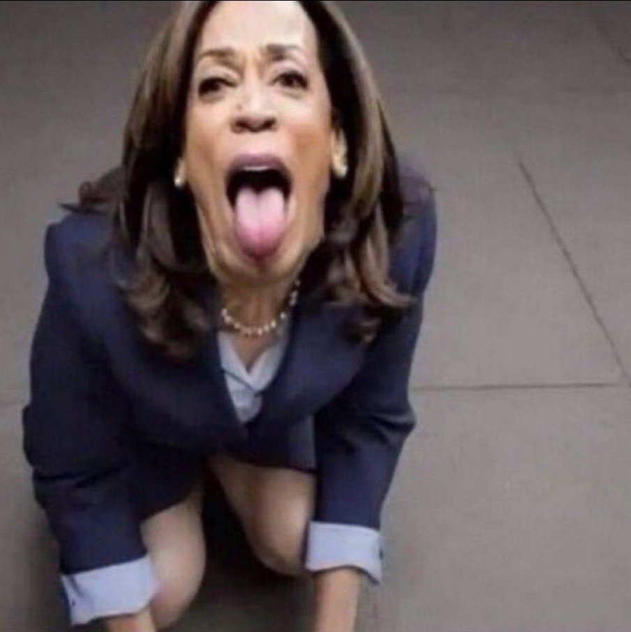 <a href="/catturd2/">Catturd ™</a>