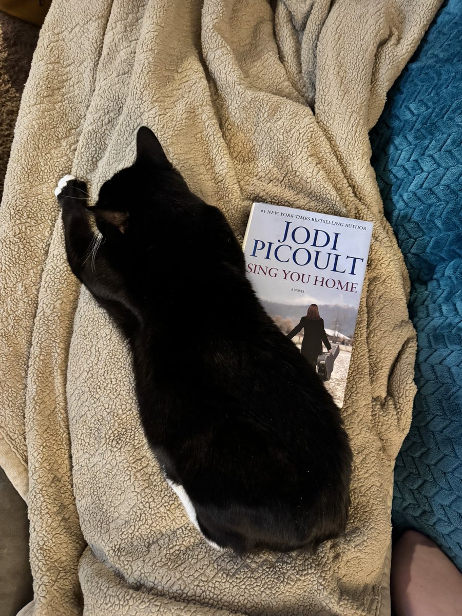 HelloImLoops's tweet photo. Cat paralysis 🥰 https://t.co/LwP9y5Hpwi