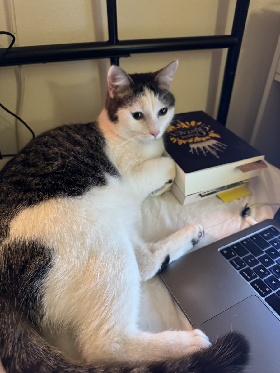 𝔥𝔞𝔯𝔭𝔢𝔯 𝔡𝔢 𝔐𝔬𝔫𝔱𝔢 ℭ𝔯𝔦𝔰𝔱𝔬 🌱 tweet media