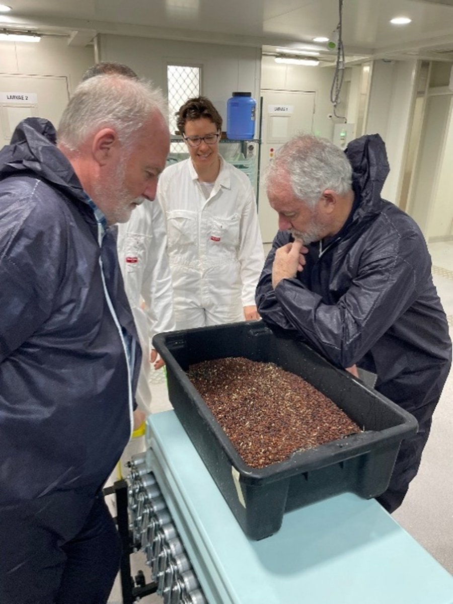 🚨🐑 Breakthrough in combating sheep flystrike! On Kangaroo Island, an innovative Sheep Blowfly Sterile Insect Technique rearing facility is breeding &amp; releasing millions of sterile blowflies to reduce their population &amp; protect sheep. 📍Learn more: loom.ly/eDic8SQ