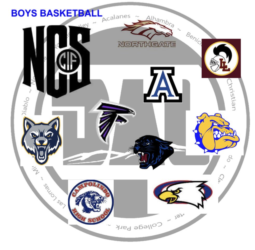 DAL sends 9 teams to NCS BOYS BASKETBALL TOURNAMENT. LETS GO!!