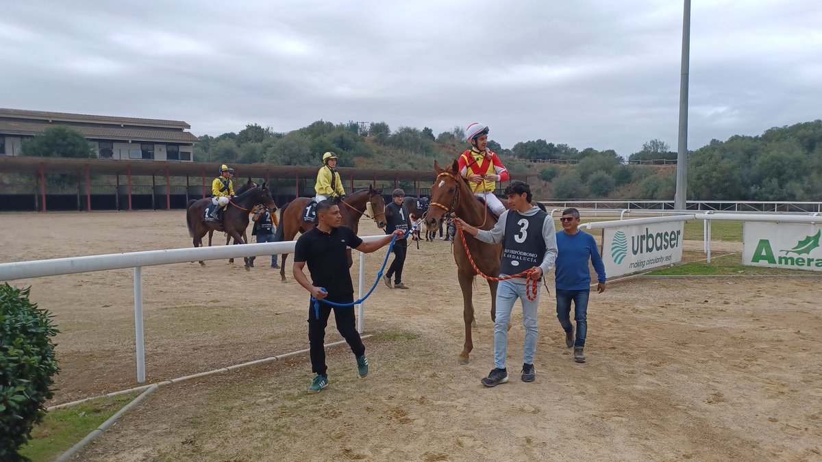 GiraldaTurf's tweet photo. PASAPALABRA con la monta de @LoperaRacing y preparación de Jesús Expósito tras ganar en el @GranHipodromo2H https://t.co/GmUjv3QwZP