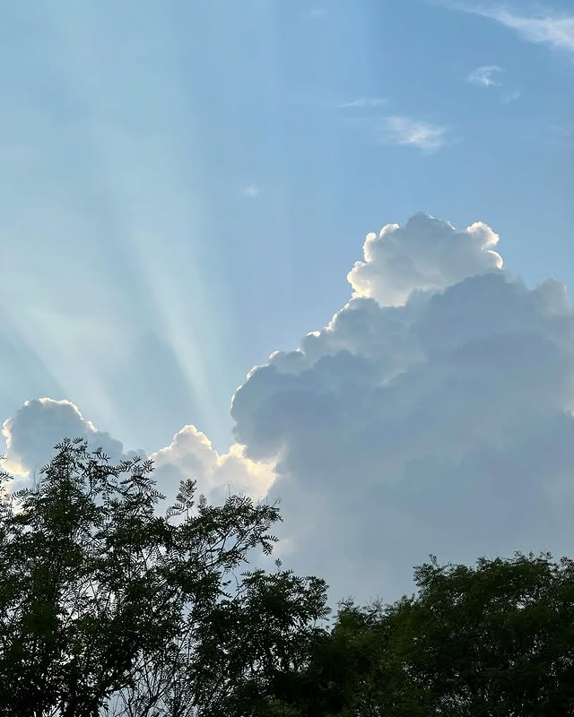 401SN tweet picture