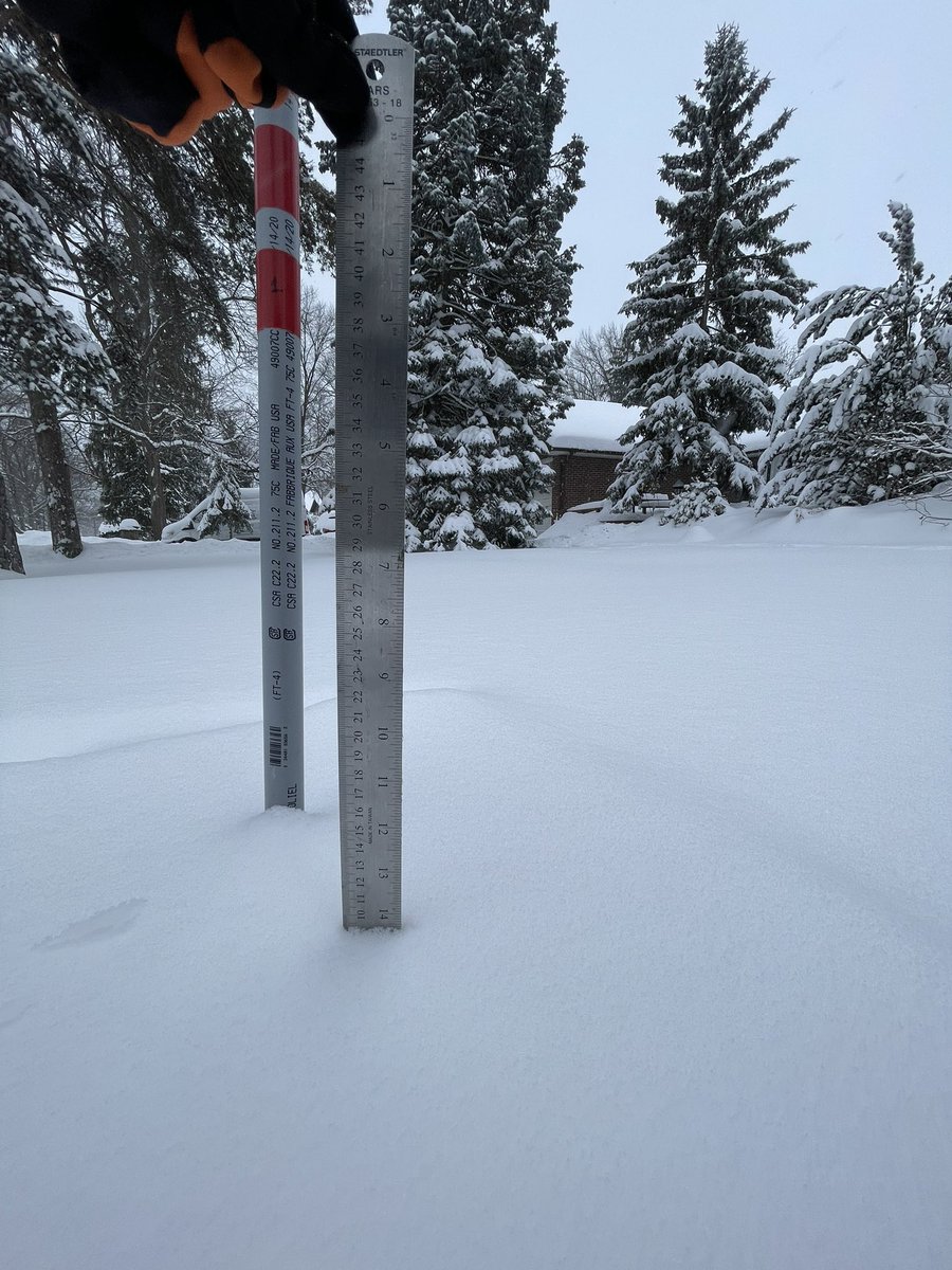 Kristoffer L. tweet media