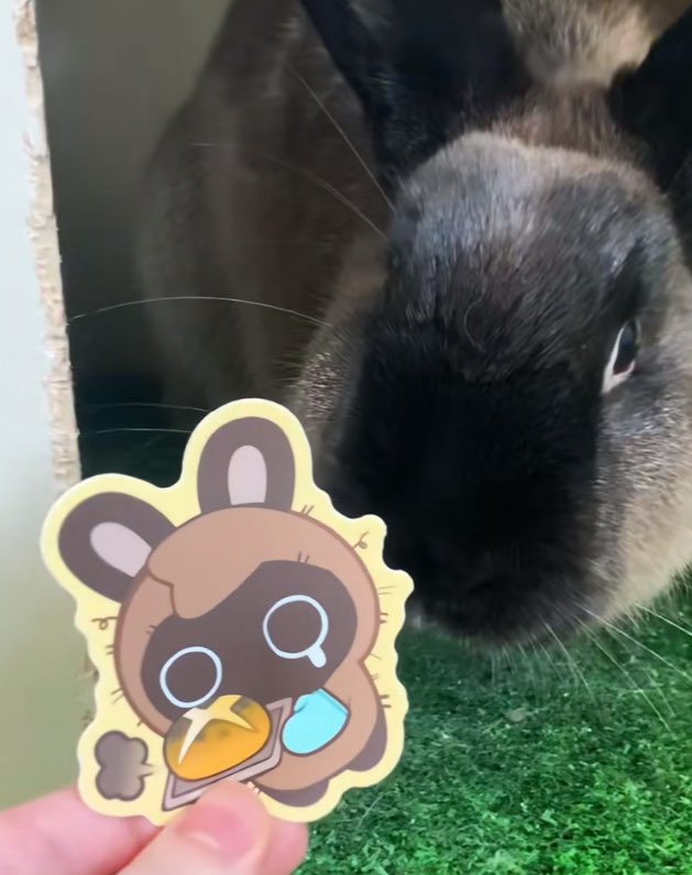 Loppy Rae: Catching Up 💨 tweet media