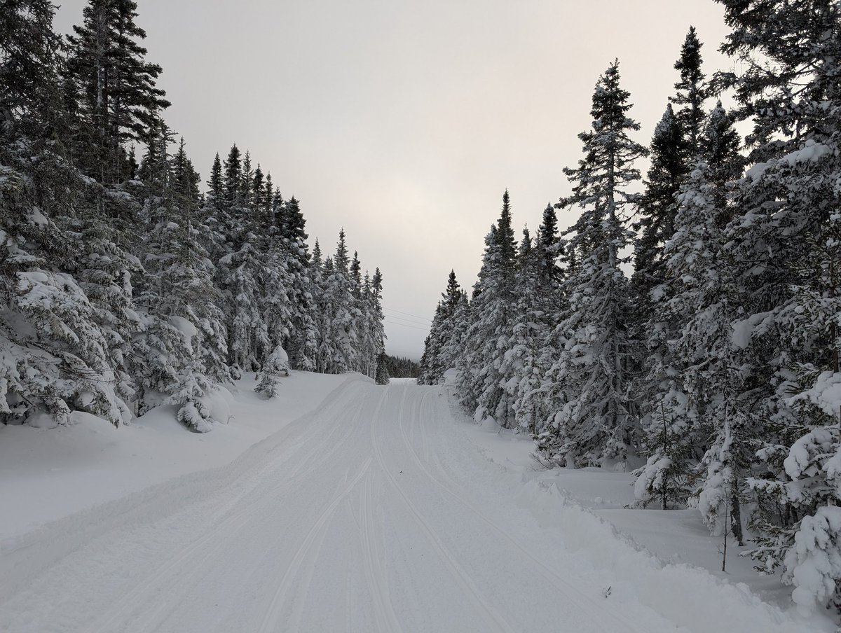 _brandon_jarvis's tweet image. Beautiful day to end a weather-filled weekend trip to the west coast! Around Corner Brook/Lewis Hills today. #nlwx