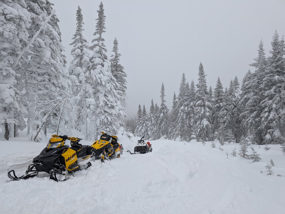 _brandon_jarvis's tweet image. Beautiful day to end a weather-filled weekend trip to the west coast! Around Corner Brook/Lewis Hills today. #nlwx
