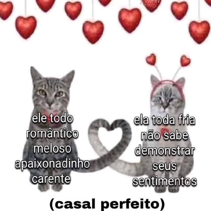 memeparaoarroba's tweet photo. https://t.co/t5RuDh8iya