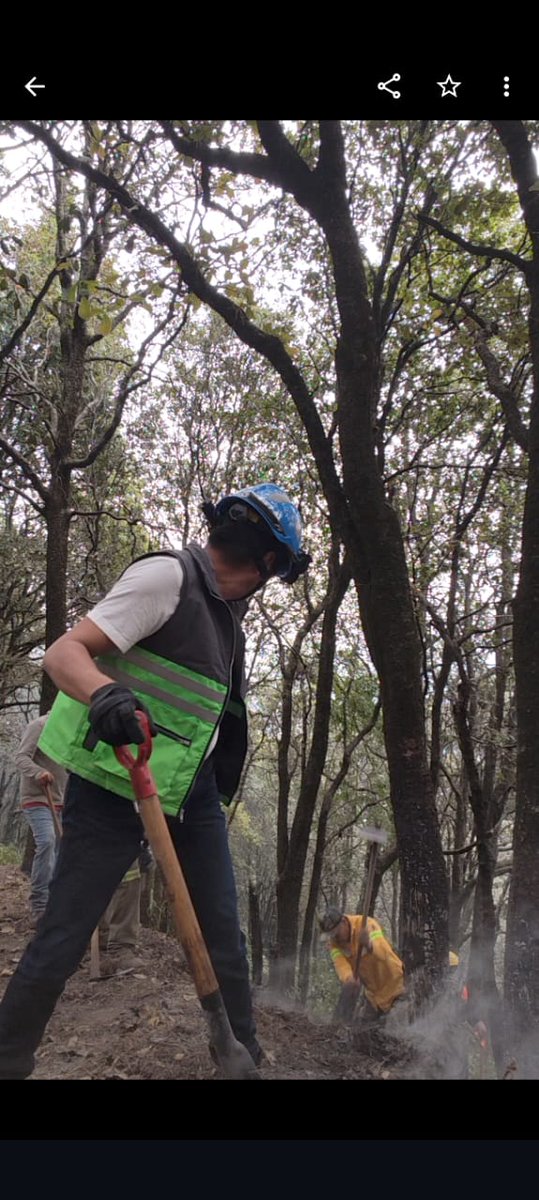 SGIRPC_CDMX's tweet photo. En Paraje Meyuca, entre el 1 er y 2 do Dínamo, col. Zona Rústica Magdalena Contreras, @ALaMagdalenaC, se registra un incendio de pasto. Personal de @corenadr, de la #SGIRPC y de la #UGIRPC de la Alcaldía, laboran para sofocar el fuego. Al momento, sin lesionados. #TrabajandoJuntos #LaPrevenciónEsNuestraFuerza