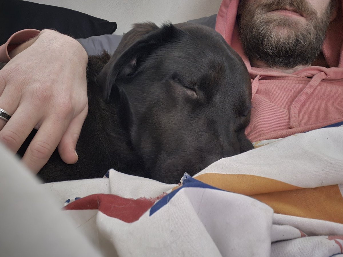 Pale Blue Dot (@dave_reger) on Twitter photo 