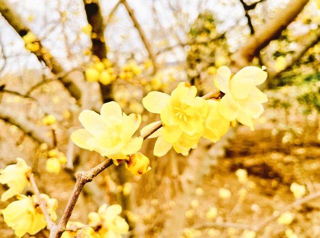 おはようございます⏰☀️𓈒𓂂𓏸(💖ᴗ͈ˬᴗ͈)ﾍﾟｺﾘ｡:.ﾟஐ⋆*🌷🌸🌺🌻🌸🌷🌼🌷🌸🌷🌼🌹•*¨*•...🌺..｡.:*🌷😆💐💖❤💝˚✩∗*ﾟ⋆｡˚✩☪︎⋆｡˚✩‧✧̣̥̇‧☽･:*(♥ω♥*)ｷｭﾝｷｭﾝ♡*゜🥰💕💕✨🎀💕💓💗😆💐💖❤💝🌷•*¨*•.¸¸♬︎♪♪(*´³`*)◌ 🫧♥𓂃 𓈒𓏸◌🍀🤍𖤐⸒⸒- ̗̀ ꒰ঌ💓໒꒱  ̖́-