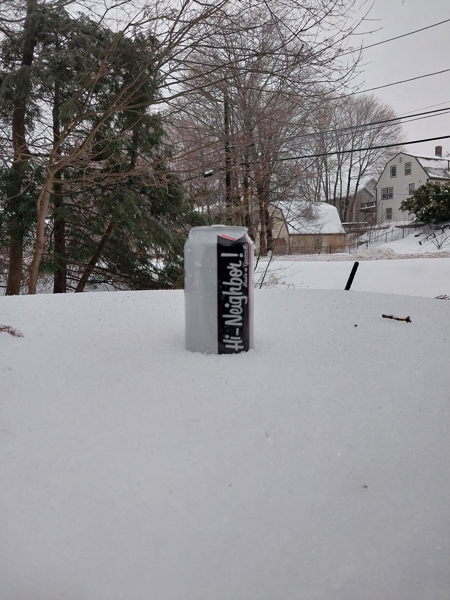 The_Common_Toad's tweet image. It's like shoveling wet laundry out here. Time for some New England cardio