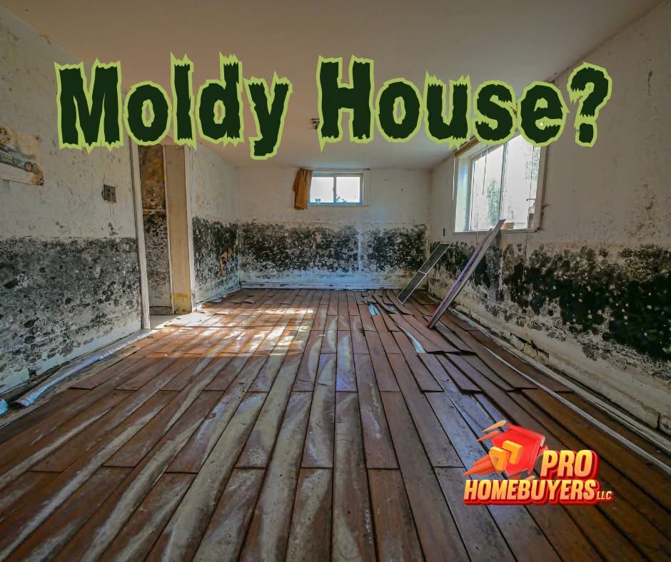 ProFastOffers's tweet image. Got a moldy house? 🏚️ Mold isn’t just ugly—it’s dangerous! It can cause health issues, weaken your home’s structure, and lower property value.

If your home is suffering from mold issues, we buy houses in ANY condition. Get a PRO FAST OFFER today and let us handle the hard work!