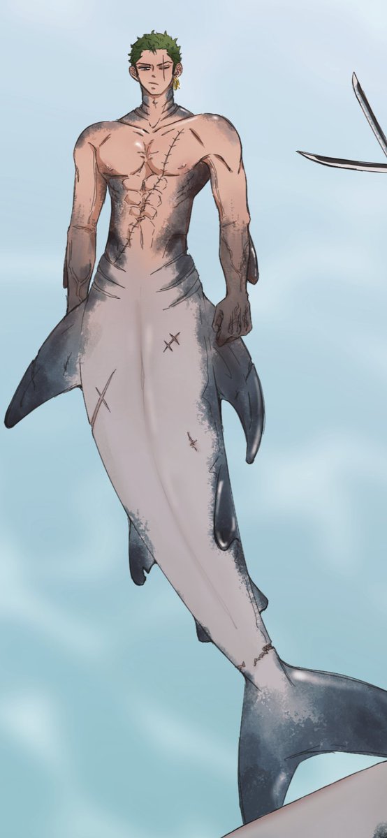 Piece_san_'s tweet photo. 🦈⚔️ 상어조로 https://t.co/fOBUkyrZ3h