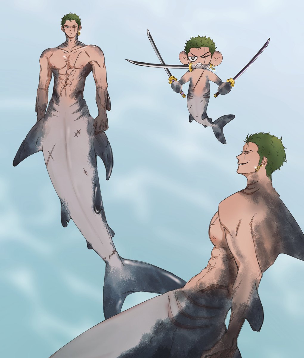 🦈⚔️ 상어조로