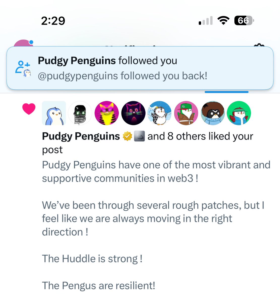 versa ๐ (@versabetwittin) on Twitter photo Iโm having a FAN GIRL moment right now cause <a href="/pudgypenguins/">Pudgy Penguins</a> just followed me back !!! ๐ญ๐ญ๐ญ Iโm having a FAN GIRL moment right now cause <a href="/pudgypenguins/">Pudgy Penguins</a> just followed me back !!! ๐ญ๐ญ๐ญ