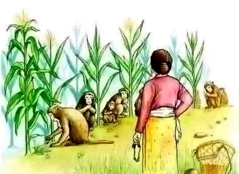 حکایت!
وایي یوه ورځ بیزوګانې او شکاڼه خبر شوو هغه بزګره مړه شوه چې دوئ به یي د جوارو له پټیو شړل. سخت اتڼونه او خوشحالي یي وکړه.
خو کال پس په پټیو کې د جوارو درک نه و.
دا وخت پدې تریخ حقیقت پوه شول چې بزګره ښځه اصلاً دښمنه نه بلکې د جوارو په کښت د هغوئ روزي رسانه وه.
★★★
ځنی