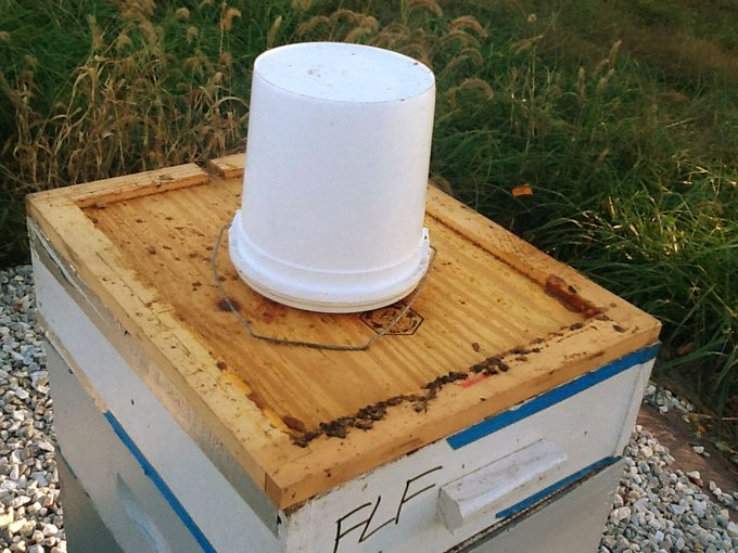 MY DAILY BEE FACTOID
BEEKEEPERS feed sugar syrup to BEES as they begin to become active in spring. Then feeding pollen substitute, protein, stimulates the Queen to lay eggs. Once flowers bloom &amp; nectar is available to the BEES, feeding stops.  Please FOLLOW &amp; RT. #savethebees